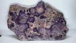 Load and play video in Gallery viewer, VERY RARE Siberian Amethyst Crystal Table [34&quot; x 24&quot; x 22/24&quot; tall]
