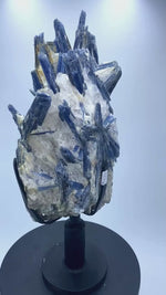 Load and play video in Gallery viewer, STUNNING Large 27.65/lb Tall Blue Kyanite Crystal Specimen #038 With Clear Quartz, Calcite and Mica
