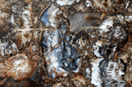 Load image into Gallery viewer, Mosaic Petrified Wood Slab #2  [72&quot; x 42&quot; x 1&quot;] {Contact for Price}
