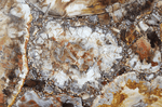 Load image into Gallery viewer, Mosaic Petrified Wood Slab #4 [60&quot; x 30&quot; x 1&quot;] {Contact for Price}
