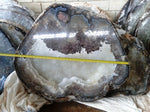 Load image into Gallery viewer, Giant Agate Geode Slab #274 x 200/lbs (35&quot; x 31&quot; x 3&quot; thick) {Inquire For Price}
