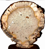 Load image into Gallery viewer, Giant Agate Slice #23A-EH (20&quot; x 15 3/4&quot; x 3/8 Thick)
