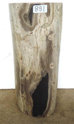 Load image into Gallery viewer, Petrified Wood Side Table #891-EH 
