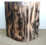 Load image into Gallery viewer, Petrified Wood Side Table #789-EH 
