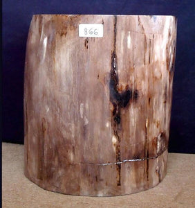 Petrified Wood Side Table #866-EH 