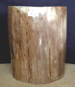 Load image into Gallery viewer, Petrified Wood Side Table #866-EH
