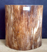 Load image into Gallery viewer, Petrified Wood Side Table #867-EH 
