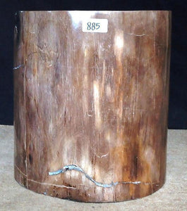 Petrified Wood Side Table #885-EH 