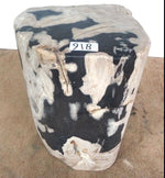 Load image into Gallery viewer, Petrified Wood Side Table #918-EH 
