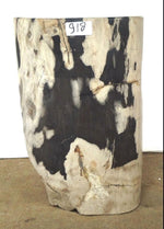 Load image into Gallery viewer, Petrified Wood Side Table #918-EH 
