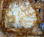 Load image into Gallery viewer, RARE &amp; HUGE 24&quot; x 20&quot; x 1&quot; Gem Grade Petrified Coconut Palm Slice #8

