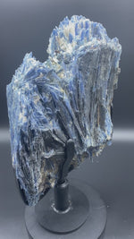 Load and play video in Gallery viewer, 71+/lb Museum Size and Quality Blue Kyanite Crystal Specimen #044 with Clear Quartz, Black Tourmaline and Mica deposits
