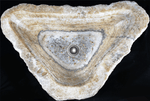Load image into Gallery viewer, Agate Crystal Sink
