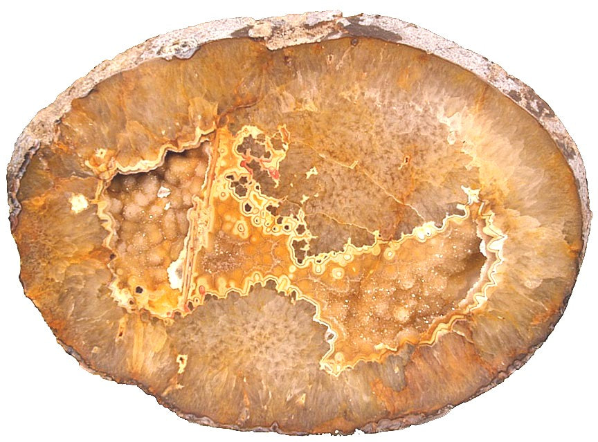 Geode Center Cut Giant Center Cut Citrine Geode slab table #284 (40