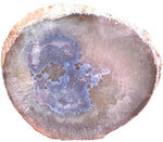 Load image into Gallery viewer, Giant Agate Geode Slab #283B (31&quot; x 26&quot; x 2&quot;) {Contact For Price}
