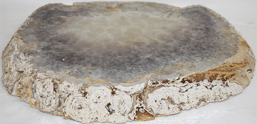 Giant Agate Slice #174-EH (22.5" x 21" x 1.5" Thick) (Contact for Pricing)