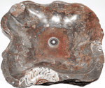 Load image into Gallery viewer, Grande Fossil Marble Sink #155-EH 
