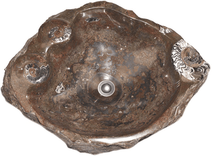 Grande Fossil Marble Sink #176-EH 