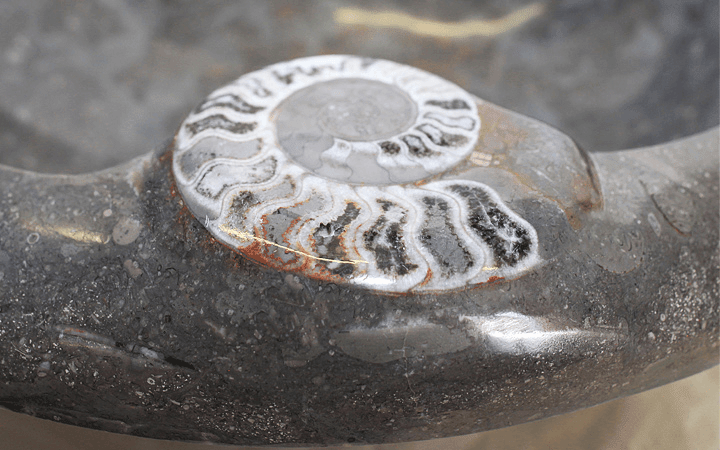 Grey Grande Fossil  Sink #6J-EH (18" diameter X 6" tall  W/ 1 3/4" Drain Hole) {Free Shipping}
