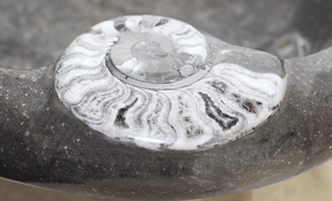 Grey Grande Fossil Sink #6K-EH (18" diameter X 6" tall W/ 1 3/4" Drain Hole) {Free Shipping}