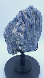 Load and play video in Gallery viewer, 30.65/lb Blue Kyanite Crystal Specimen #032 With Clear Quartz, Black Tourmaline and Mica
