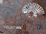 Load image into Gallery viewer, Bordeux Macro Fossil Table Top
