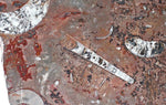 Load image into Gallery viewer, Polished Ammonite &amp; Orthoceras Red Macro Fossil Table Top #1K
