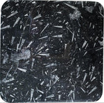 Load image into Gallery viewer, Polished Black Fossil Table Top #1J
