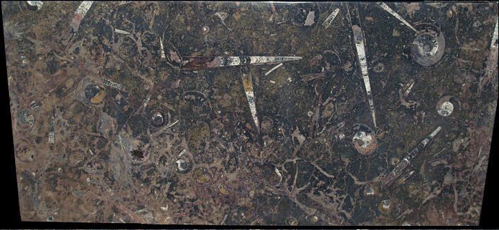 Rectangle Fossil Marble Table #3