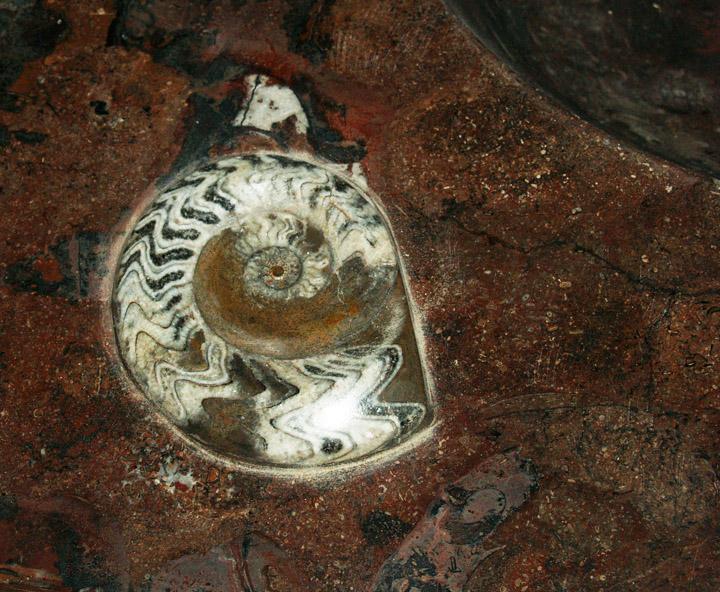 Red Fossil Marble Sink #2E-EH