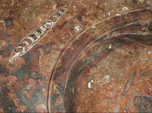 Red Fossil Marble Sink Vanity #13B