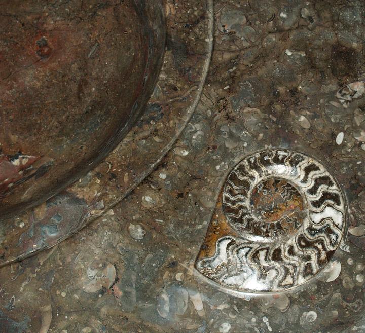 Red Fossil Marble Sink Vanity #13B