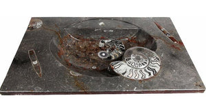 VERY RARE STUNNING Red Fossil Agate Sink #BB –EH