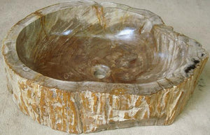 Petrified Wood Sink #1-EH Petrified Teak