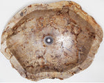 Load image into Gallery viewer, Petrified Wood Sink #156B-EH Petrified Teak 
