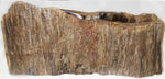 Load image into Gallery viewer, Petrified Wood Sink #160B-EH Petrified Teak
