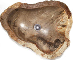Load image into Gallery viewer, Petrified Wood Sink #162A-EH Petrified Teak
