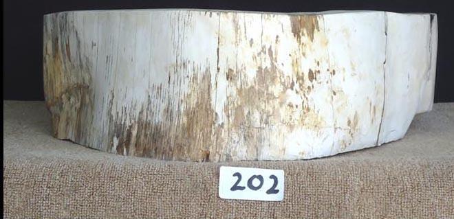 Petrified Wood Sink {Petrified Rosewood} #202-EH
