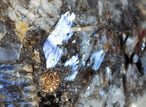 Labradorite Gemstone Slab #6 60" x 30" x 1" Thick {Contact for Price}