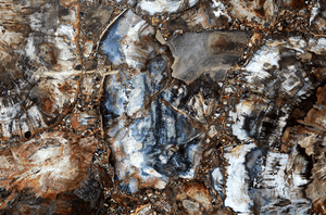 Mosaic Petrified Wood Slab #2  [72" x 42" x 1"] {Contact for Price}