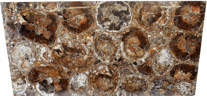 Mosaic Petrified Wood Slab #5