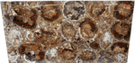 Load image into Gallery viewer, Mosaic Petrified Wood Slab #5
