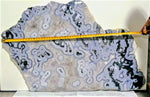 Load image into Gallery viewer, Giant Crazy Lace Agate Slab #360A  (65&quot; x 40&quot; x 1 3/4&quot; Thick x 325/lbs) Inquire for pricing
