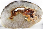 Load image into Gallery viewer, Giant Geode Slab #123 (36&quot; x 25&quot; x 2&quot; Thick) (Contact for Pricing)
