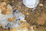 Load image into Gallery viewer, INCREDIBLY RARE Fossil Coral Sink #166-EH Highly Agatized - Sold
