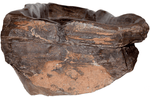 Load image into Gallery viewer, Fossil Agate Sink #214-EH

