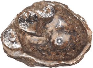 Grande Fossil Marble Sink #187-EH