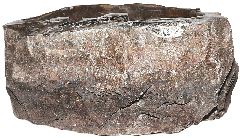 Grande Fossil Marble Sink #187-EH (28.5" x 20" x 7.5" Tall W/ 1 5/8" Drain) {Free Shippin