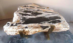 Load image into Gallery viewer, Petrified Wood Coffee Table &quot;Black Pine&quot; 49&quot; x 44&quot; x 18&quot; tall, Solid Brass Base
