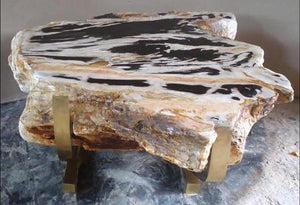 Petrified Wood Coffee Table "Black Pine" 49" x 44" x 18" tall, Solid Brass Base
